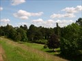 Image for Sywell Country Park Arboretum - Northamptonshire, UK