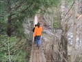 Image for Cane Creek Falls Swinging Bridge