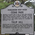 Image for Cedar Park and Tulip Hill