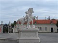 Image for Man and Horse  -  Vienna, Austria