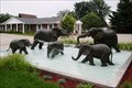 Image for Elephants at Play