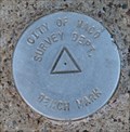 Image for City of Waco Survey Dept. (unnumbered) Bench Mark