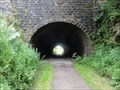 Image for Newhaven Tunnel - Parsley Hay, UK