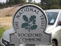 Image for Rockford Common - New Forest, Hampshire