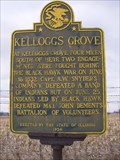 Image for Kelloggs Grove