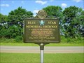 Image for Blue Star-Lyons-Toombs Co