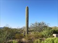 Image for 110th Street Cell Tower - Carefree, Arizona