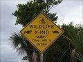 Image for Wildlife X-ing Sign - Merritt Island, Florida, USA
