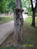 Image for Monkey and Flower Carving - Montevallo, AL