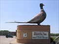 Image for World's Largest Pheasant, Huron, South Dakota