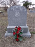 Image for William Anton Meine - Blue Mound Cemetery - Denton, TX