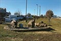 Image for African Animals - Animal Talks Medical Center - Wentzville, MO