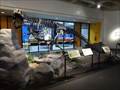 Image for Dinosaur Exhibit - Jacksonville, FL