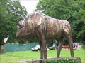 Image for Bison - Rhug Organic Farm, Corwen, North Wales, UK