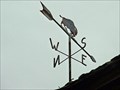 Image for Windy Buffalo  -  Sheldon, CA