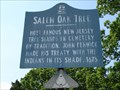 Image for Salem Oak Tree - Salem, NJ