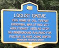 Image for ~Locust Grove~