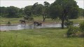 Image for Tembe Elephant Park - South Africa