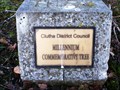 Image for Clutha District Council Millennium Commemorative Tree — Clinton, New Zealand