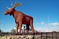 Image for Mac, the World's Largest Moose - Moose Jaw, SK