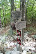 Image for AT Intersection To Devil's Marbleyard, Nr Snowden, VA