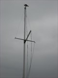 Image for Pier 39 Flag Pole -  San Francisco, CA