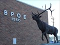 Image for B.P.O.E Elks Lodge #1550 - Price, Utah