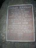 Image for LAST -- Indian of Chester County - Kennett Square, PA