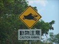 Image for Okinawa Expressway Caution Animal