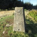 Image for O.S. Triangulation Pillar - Lumbennie Hill, Fife