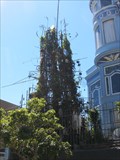 Image for Ron Henggeler's Teepee Tower - San Francisco, CA