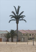 Image for Electric Palm, Langstrand, Walvis Bai, Namibia