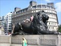 Image for Trafalgar Square Lion
