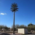 Image for Congregational Church of the Valley Palm Cell Tower - Chandler, AZ