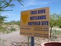 Image for Tres Rios Wetlands, Phoenix Arizona