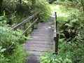 Image for Hiking bridge near Trenchford Reservoir.