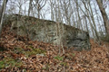 Image for Survivor's Rock