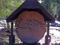 Image for Longmire Tree Ring Display - Mt Rainier ,WA