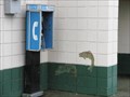 Image for Pay Phone at Haller Park