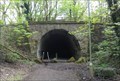 Image for Brinnington Tunnel - Portwood, UK