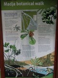 Image for Madja botanical walk -  - Queensland, Australia