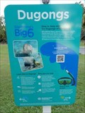 Image for Dugongs - Gladstone, QLD, Australia