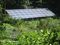 Image for Solar Array, Habitat Massachusetts Audubon Sanctuary - Belmont, MA