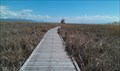 Image for Great Salt Lake Shorelands Preserve Board Walk