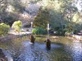 Image for Fish Fountain - LaCanada Flintridge, CA
