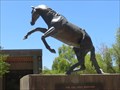Image for The Cal Poly Mustang - San Luis Obispo, CA