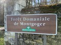 Image for Montgoger, un domaine d'exception méconnu - Saint Epain - France