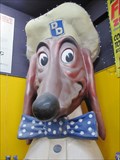 Image for Doggie Diner Head - Streetlights Records - San Jose, CA