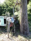 Image for Emu Mailbox- Glamorgan Vale, Queensland, Australia