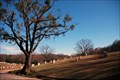 Image for Greenwood Cemetery – Atlanta, GA.